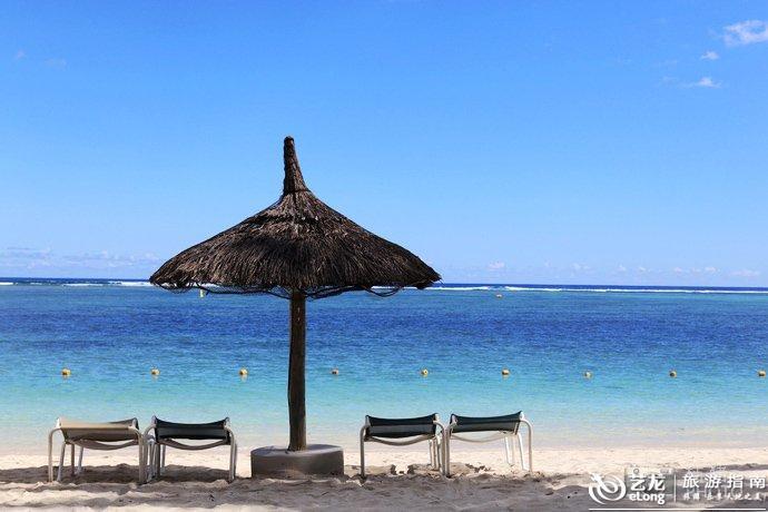 牛油果面包